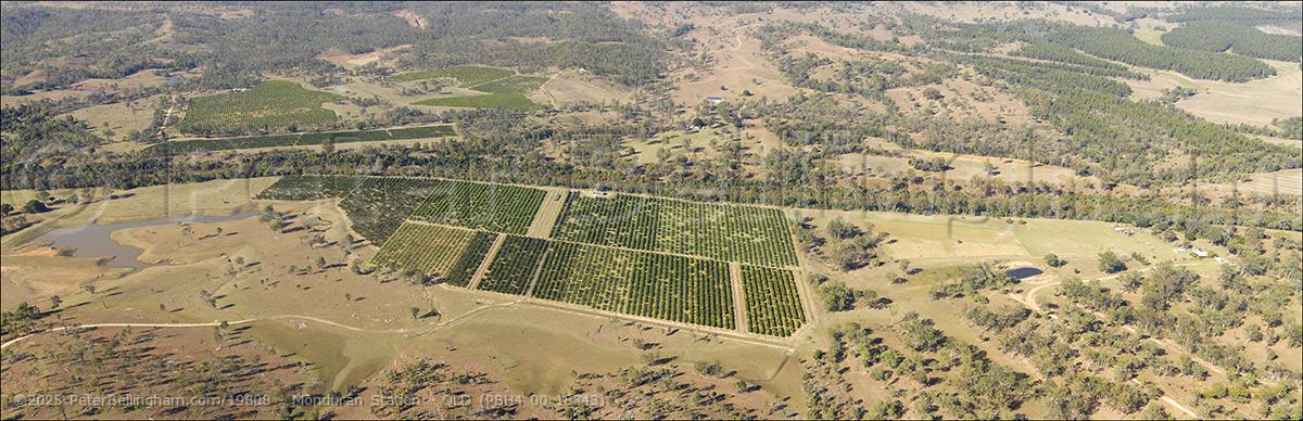 Peter Bellingham Photography Monduran Station - QLD (PBH4 00 18343)